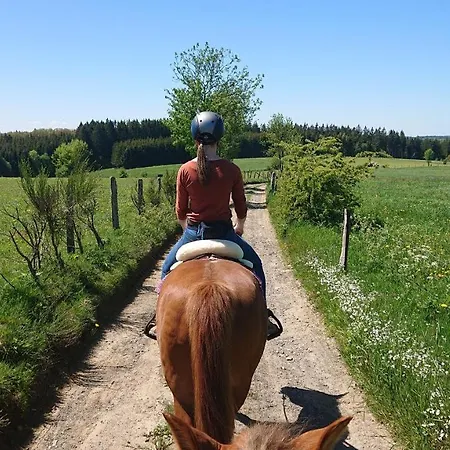 Schwalbennest Bullange