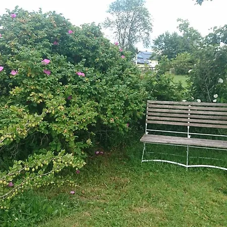 Schwalbennest *